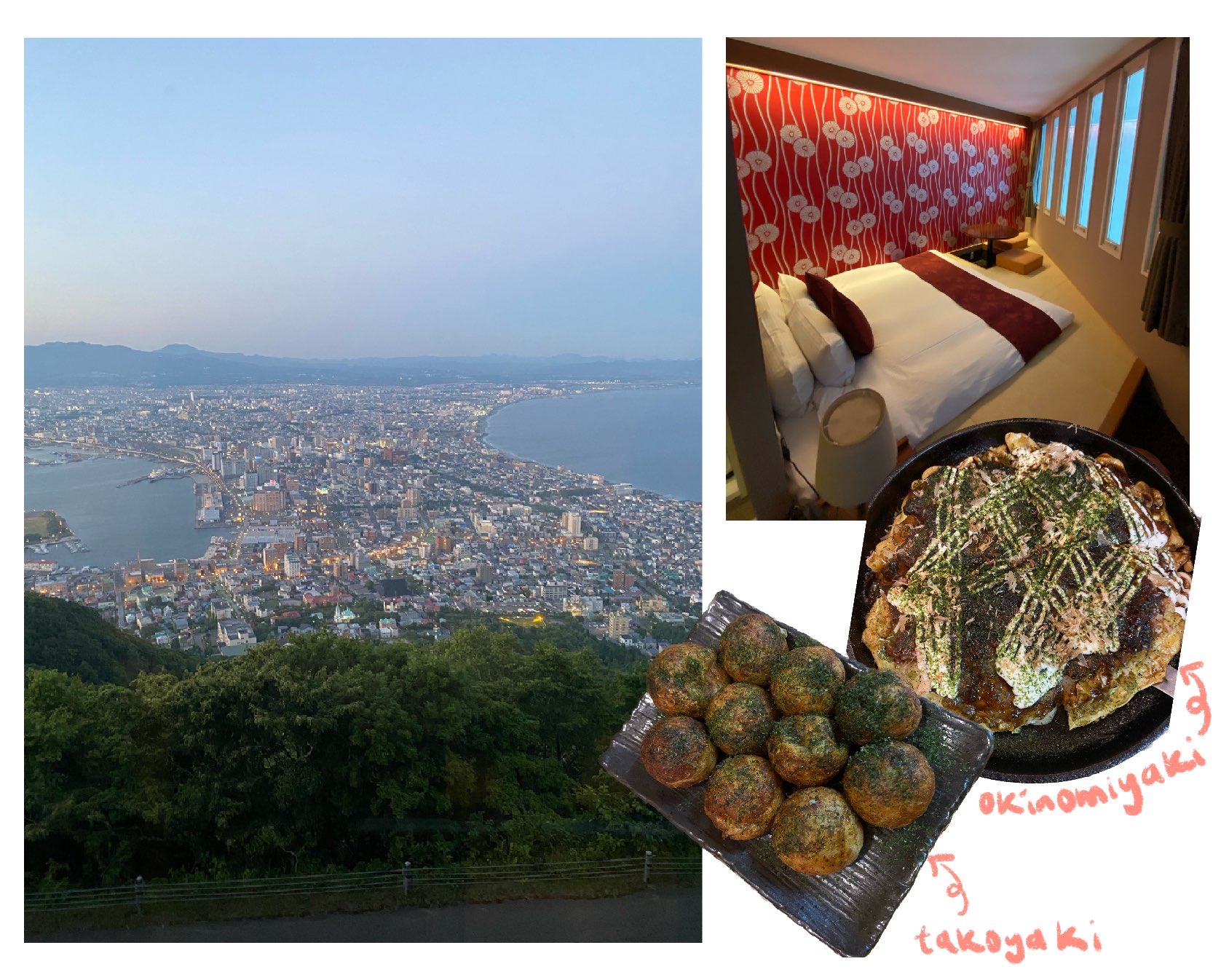 Hakodate Skyline and Food