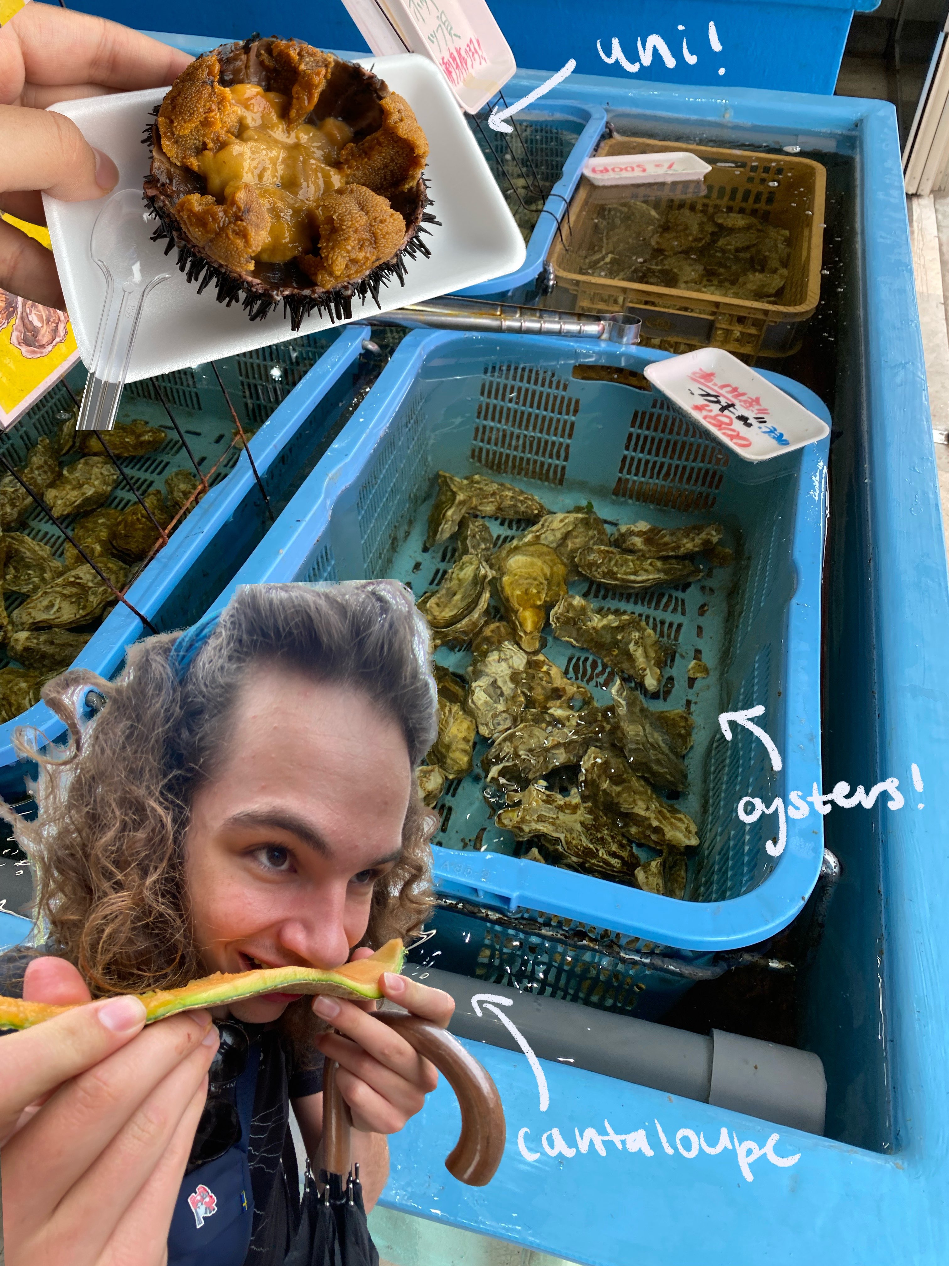 Hakodate Fish Market