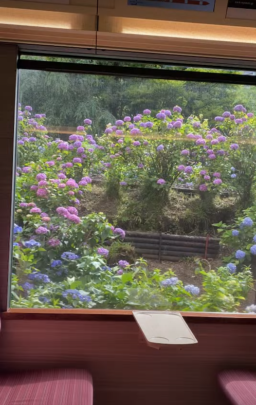 Hakone Train View
