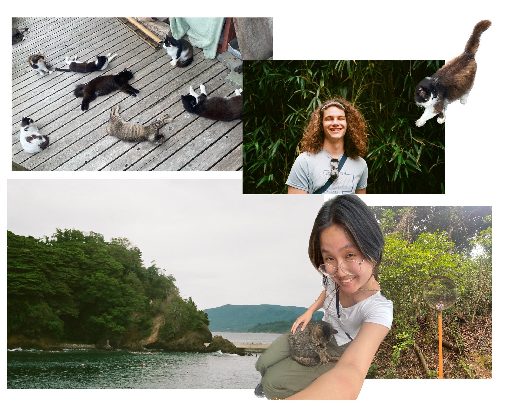 Tashirojima, Cat Island