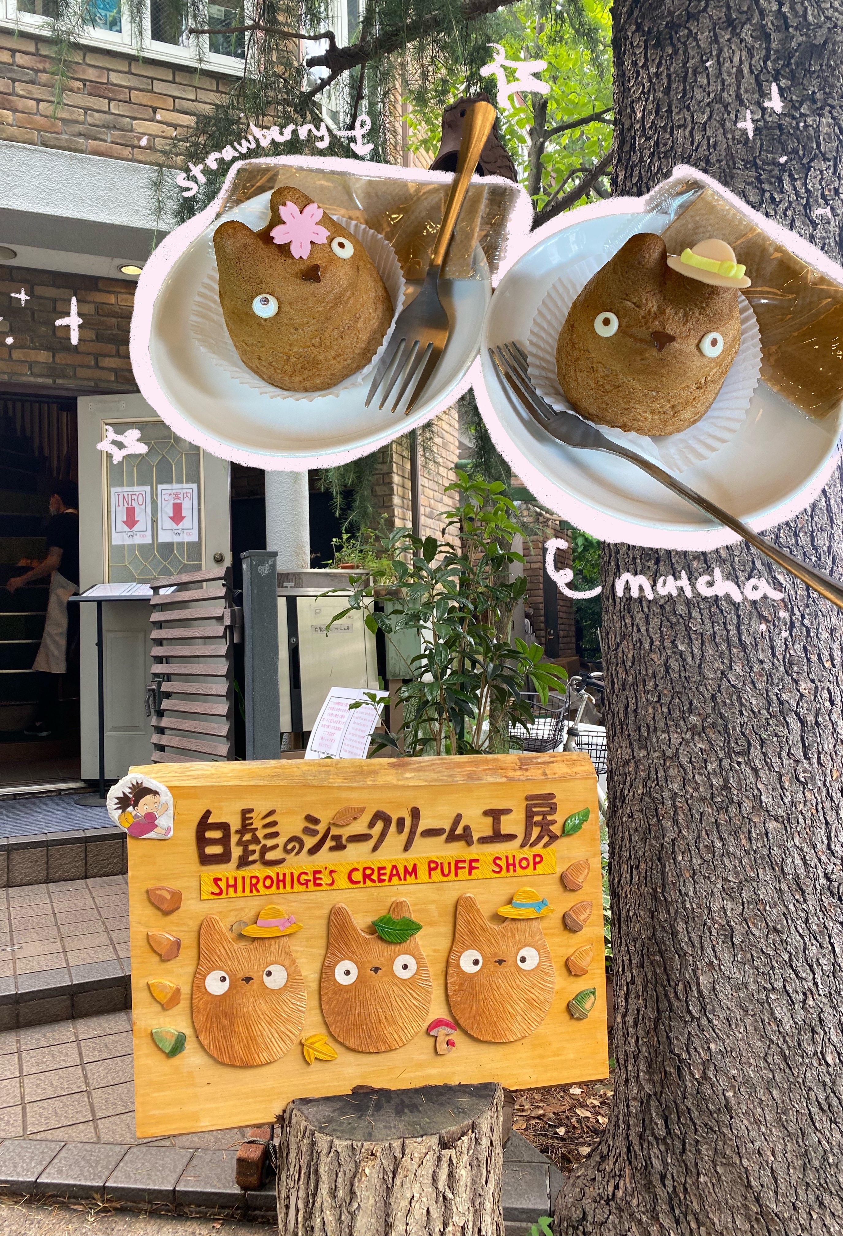 Shirohige's Cream Puffs